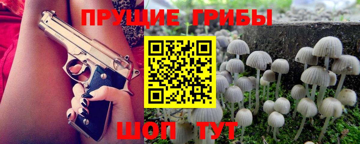 Псилоцибиновые грибы Cubensis Губкинский