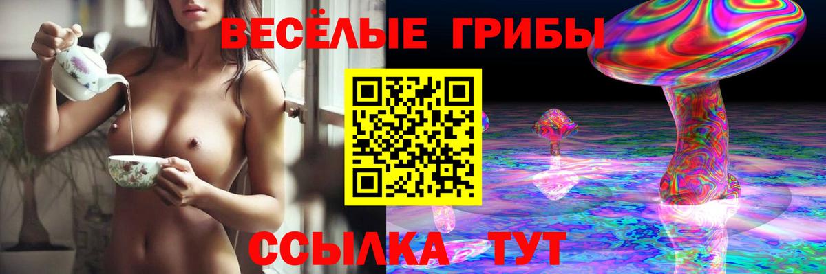 Галлюциногенные грибы Psilocybe  Псилоцибиновые грибы GOLDEN TEACHER  Вход с VPN  Губкинский 